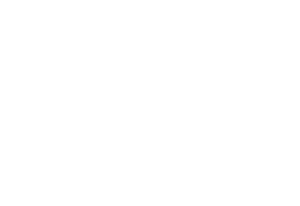 D'Aura dauralogo white
